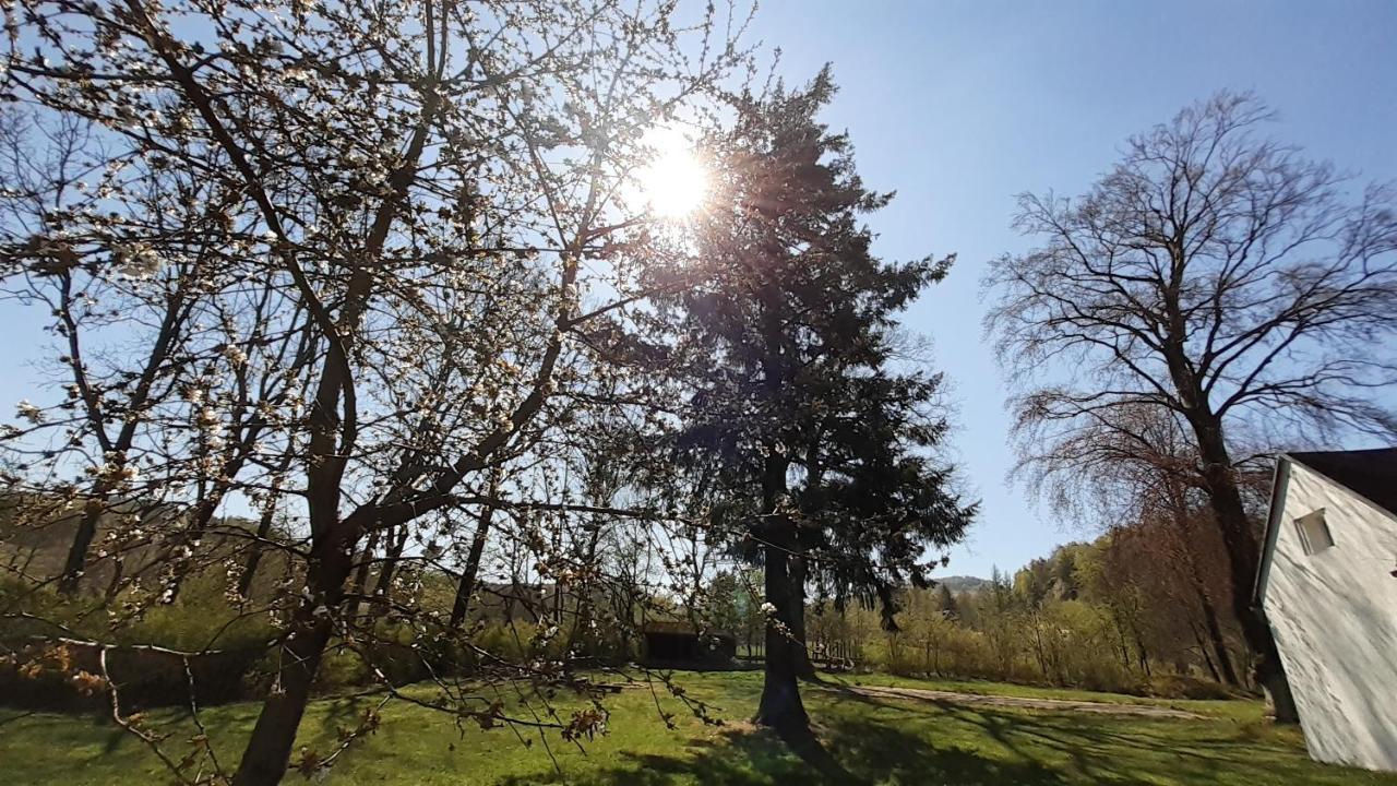 Resort Chribska Apartmany Adri Dış mekan fotoğraf